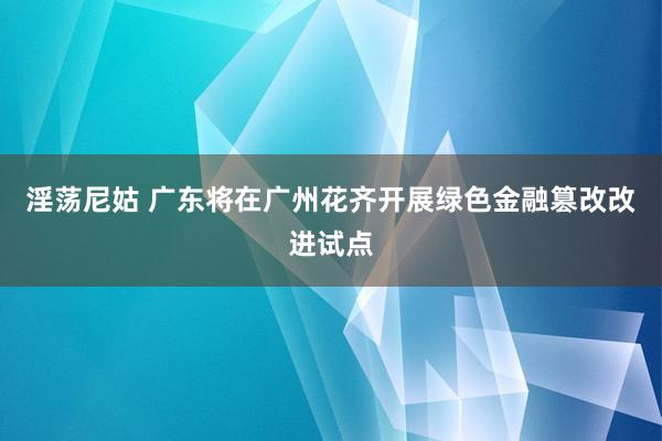 淫荡尼姑 广东将在广州花齐开展绿色金融篡改改进试点