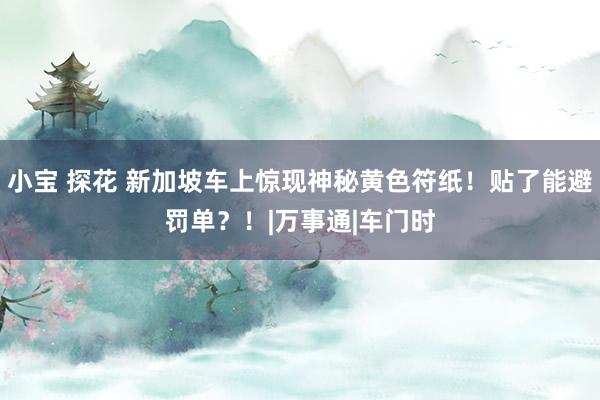 小宝 探花 新加坡车上惊现神秘黄色符纸！贴了能避罚单？！|万事通|车门时