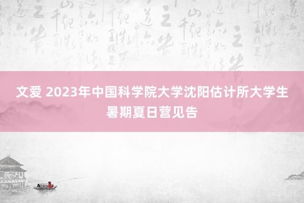 文爱 2023年中国科学院大学沈阳估计所大学生暑期夏日营见告