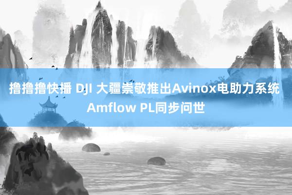 撸撸撸快播 DJI 大疆崇敬推出Avinox电助力系统 Amflow PL同步问世