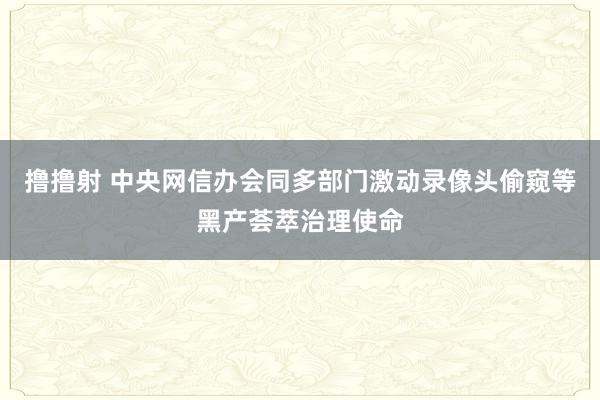 撸撸射 中央网信办会同多部门激动录像头偷窥等黑产荟萃治理使命