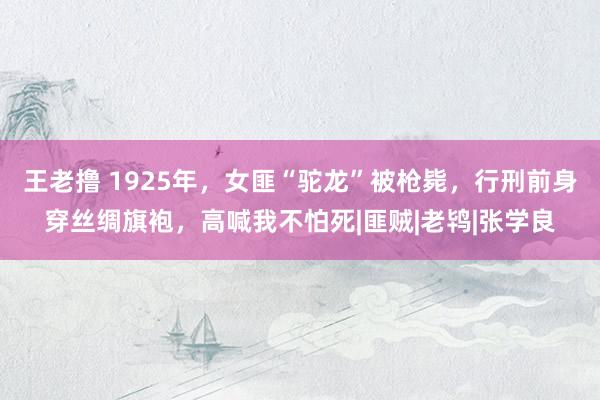 王老撸 1925年，女匪“驼龙”被枪毙，行刑前身穿丝绸旗袍，高喊我不怕死|匪贼|老鸨|张学良