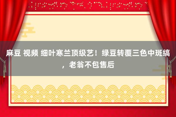 麻豆 视频 细叶寒兰顶级艺！绿豆转覆三色中斑缟，老翁不包售后