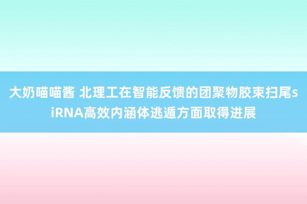 大奶喵喵酱 北理工在智能反馈的团聚物胶束扫尾siRNA高效内涵体逃遁方面取得进展